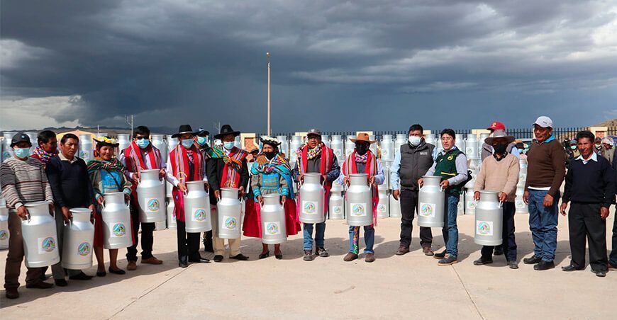 entregan porongos lecheros a productores de San Antonio Putina, Azángaro y Huancané