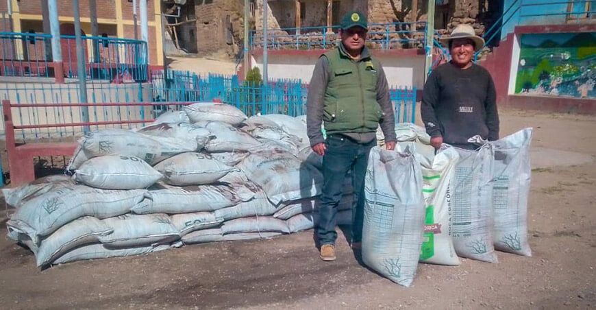 Ayacucho: entregan abonos y semillas para instalación de pastos y forrajes