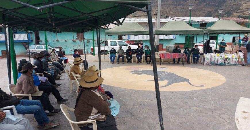 Lima: entregan 3.6 toneladas de semillas de pastos