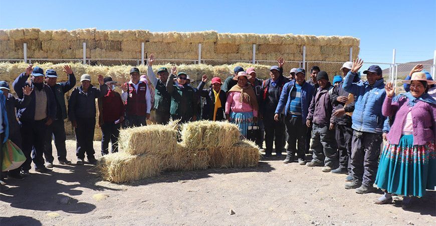entregan avena forrajera a productores de Candarave y Tarata
