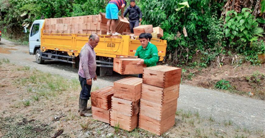 Apicultura producción miel Huánuco