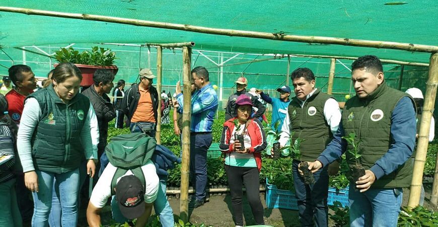 Entregaron plantones de café a productores de Amazonas