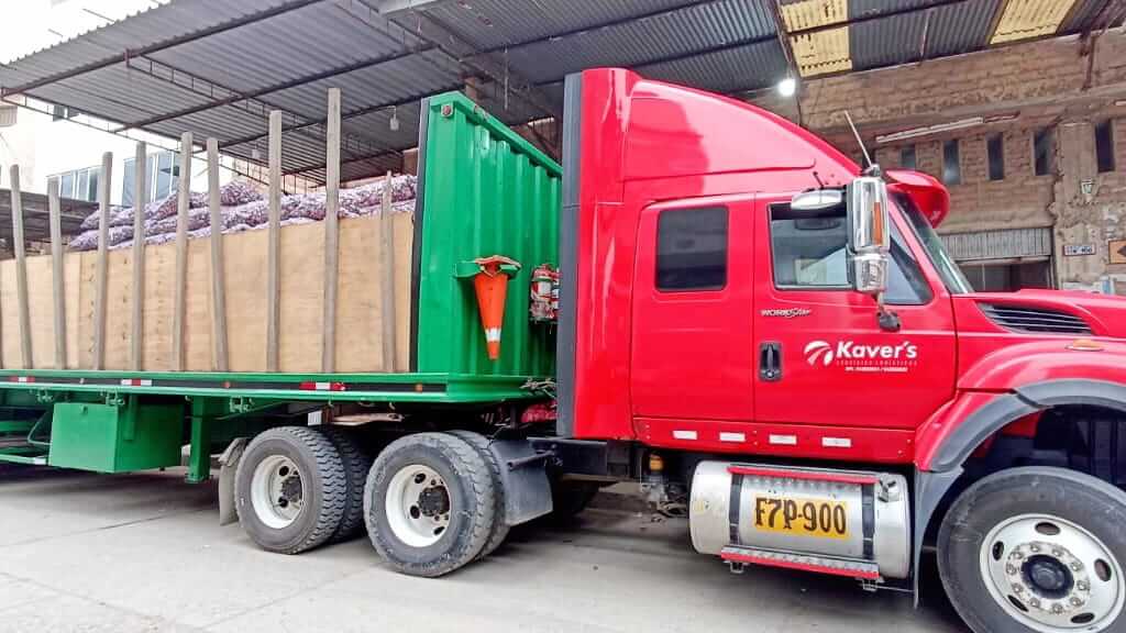 producción de ajos productores de Acora Puno