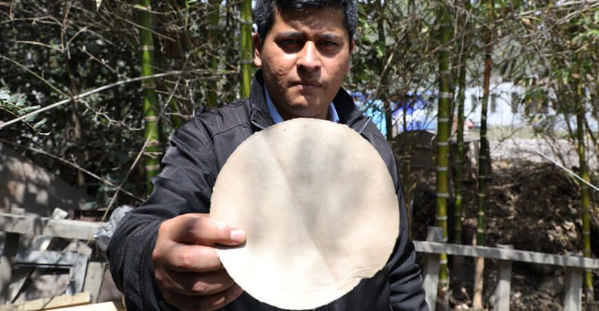 UNALM: investigadores elaboran envolturas para alimentos con fibras de bambú