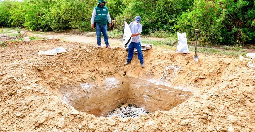 erradicación mosca de la fruta Senasa Perú