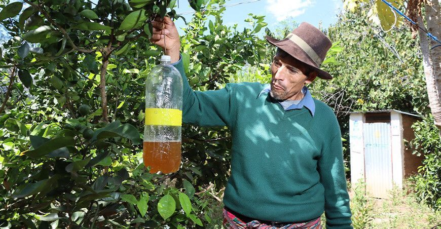 entregaron cebo tóxico a fruticultores de Ayacucho Perú