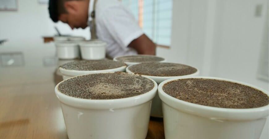 Escuela de Catación de café del BPAM lanza