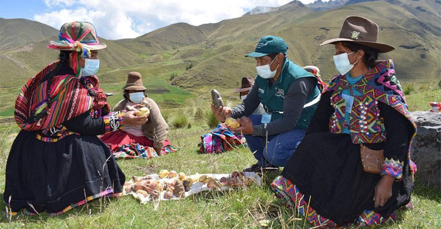 Escuelas de Campo de Aprendizaje del Senasa Perú productores de papa