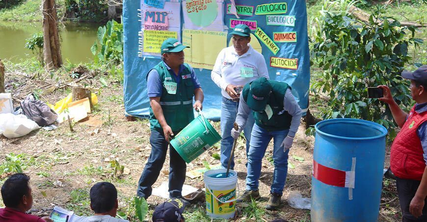 caficultores fortalecen sus capacidades técnicas en Escuela de Campo para Agricultores Senasa
