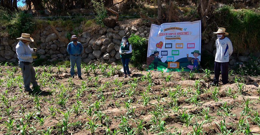 Escuelas de Campo del Senasa