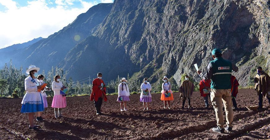 escuelas de campo del Senasa