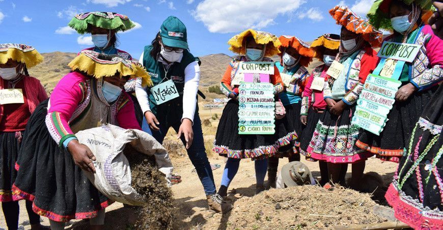 Cusco: Productoras de papa refuerzan sus conocimientos en las escuelas de campo