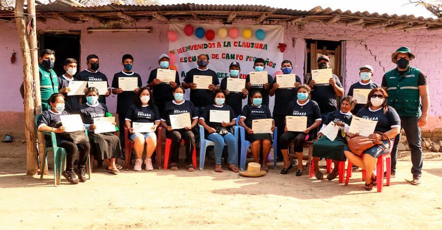 Escuelas de campo Senasa Lambayeque