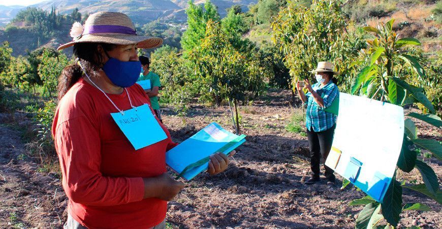 Con escuelas de campo proyectan graduar a 850 productores de Moquegua