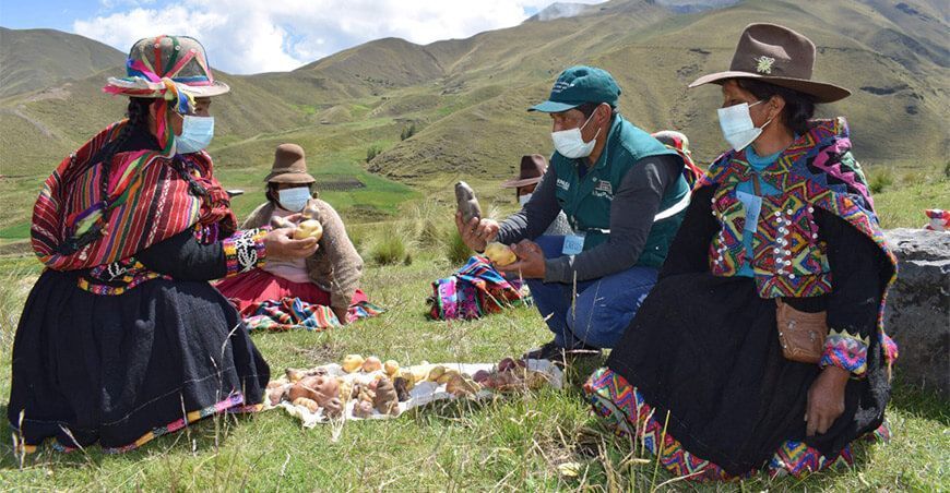 Escuelas de Campo Senasa productores de papa