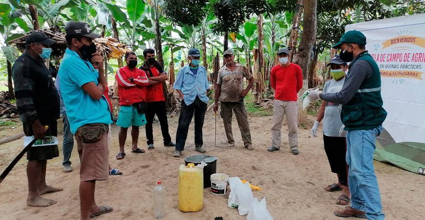 Escuelas de campo beneficiarán a 300 productores de Tumbes