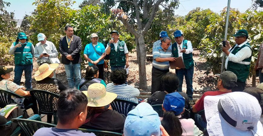encuentro regional de intercambio de experiencias de productores de palta