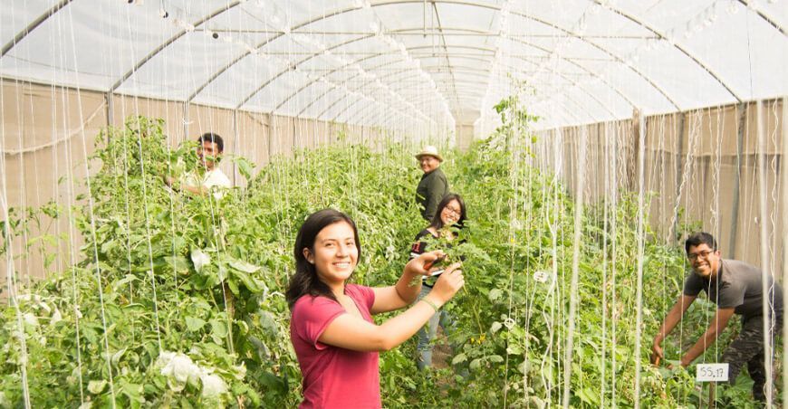 Congreso aprueba dictamen para crear el Secigra agrario