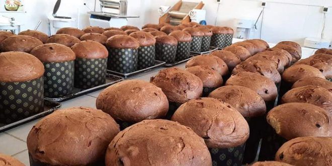 Estudiantes de ingeniería agroindustrial de la Universidad Nacional San Cristóbal de Huamanga (UNSCH) están dedicando sus esfuerzos a la elaboración de panetones enriquecidos y fortificados con quinua y lúcuma