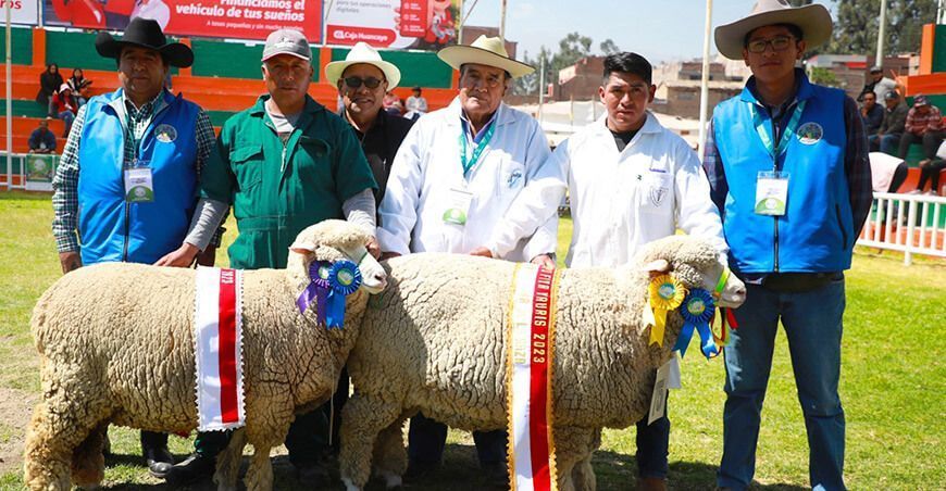 Expo Yauris Junín ganaderos ovinos Perú