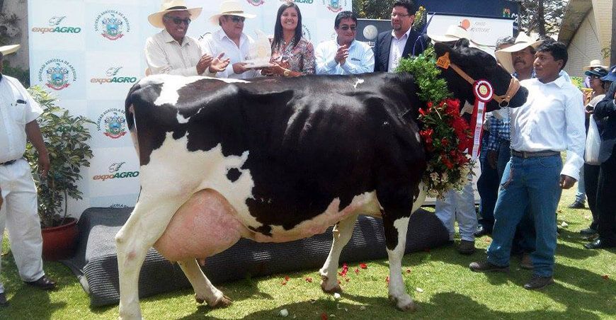 ExpoAgro en Arequipa