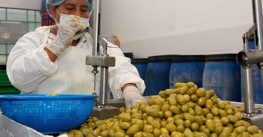 Exportación de aceitunas peruanas