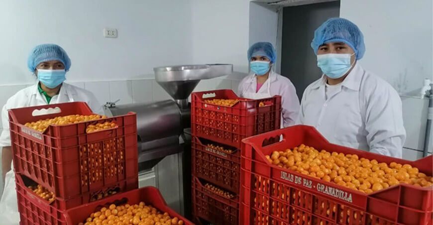 Exportación de aguaymanto Perú