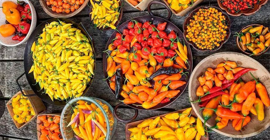 exportación de pimientos y ajíes