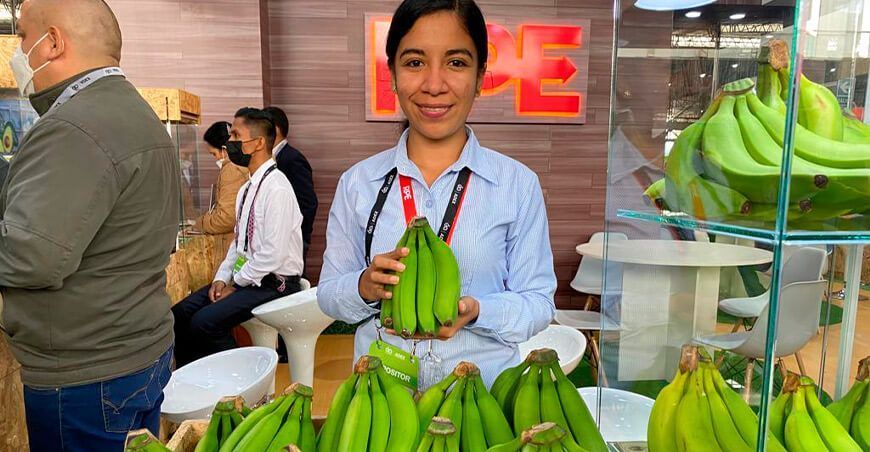 Se incrementa demanda de frutas y hortalizas en el exterior