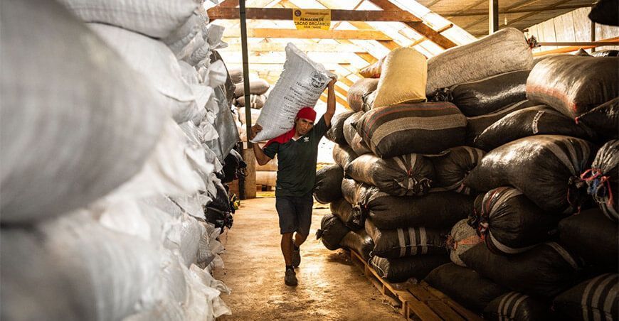 Exportación de cacao grano Perú