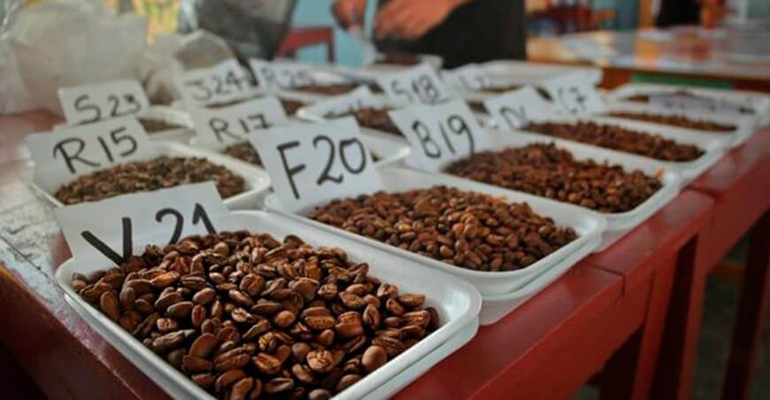Exportación de café Perú