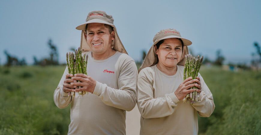 exportación de espárragos peruanos Danper Perú
