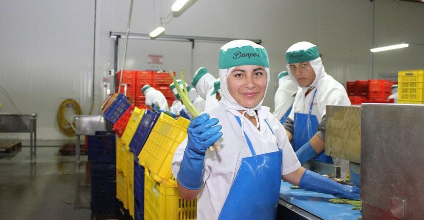 exportación de espárragos Perú