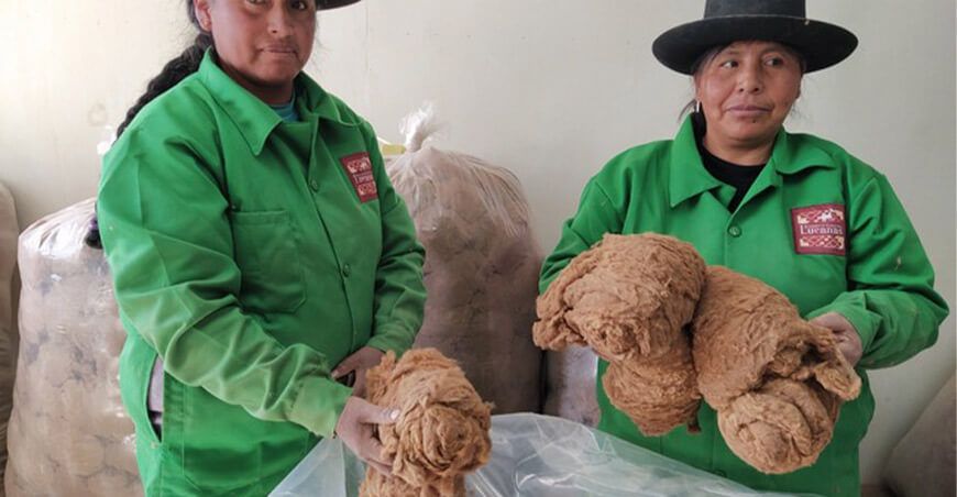 exportación fibra de vicuña