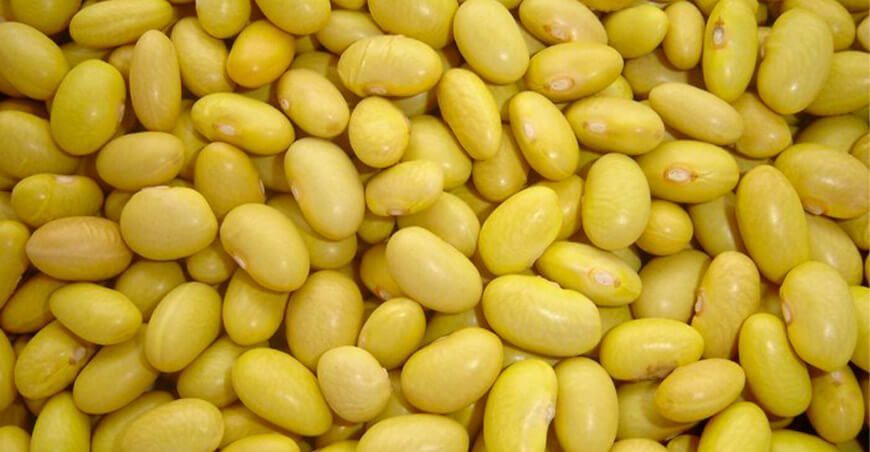 exportación de frijol Perú