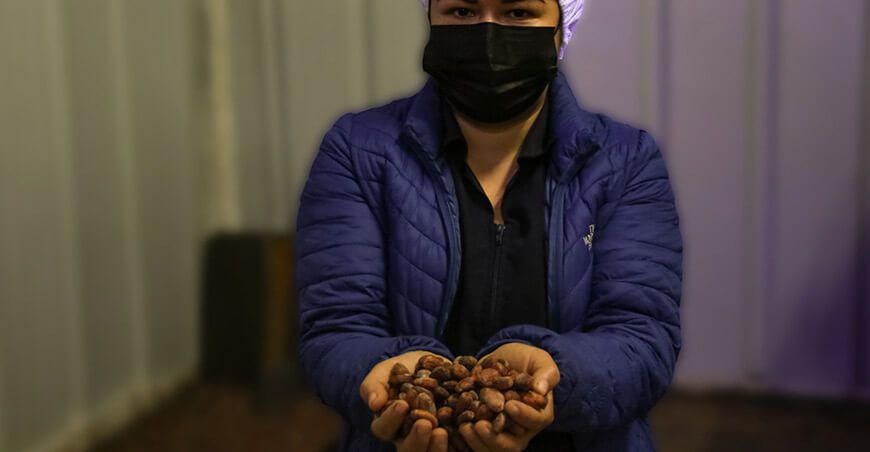productores de Ucayali exportan granos de cacao Perú