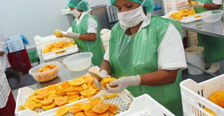 exportación de pulpa de mango peruano