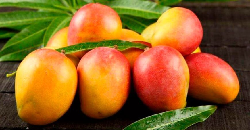 exportación de mango Perú