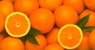 exportación naranja