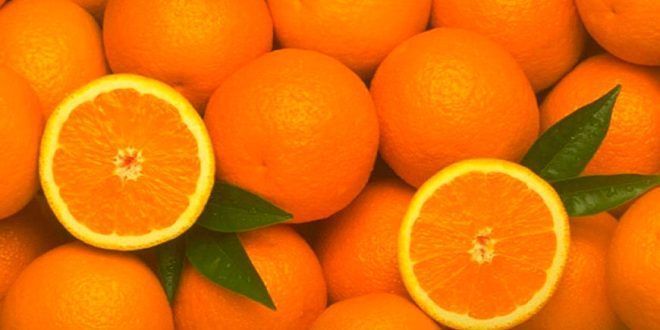exportación naranja