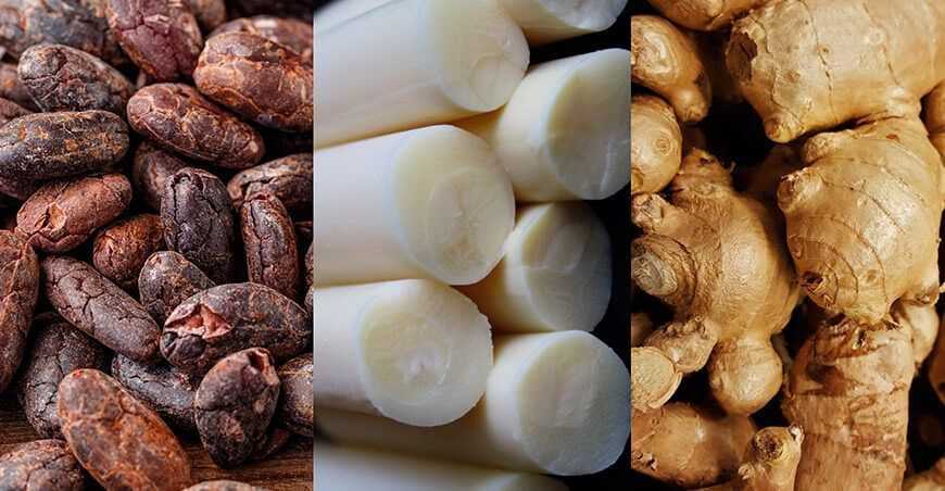 exportaciones de cacao, jengibre y palmito peruano