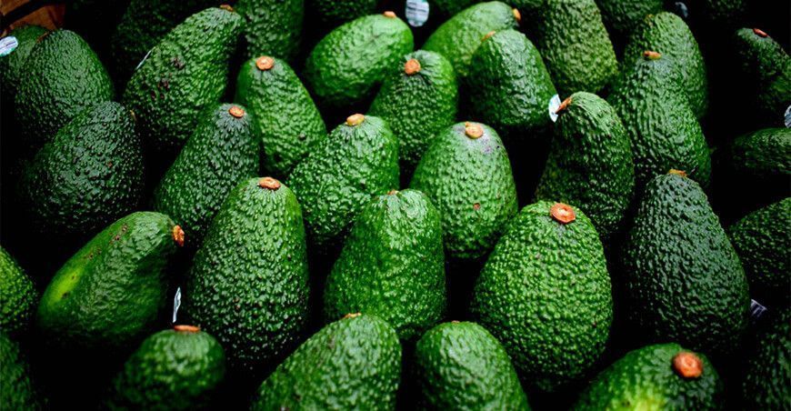 exportación de palta Hass Perú