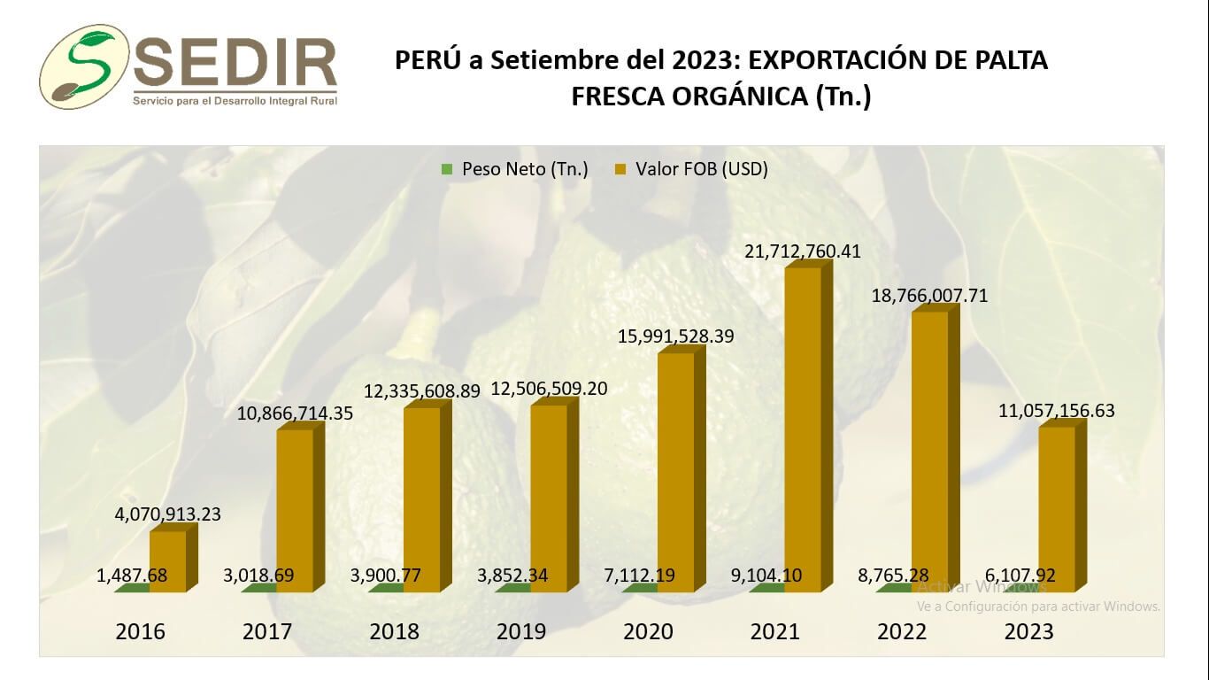 Producción nacional de palta orgánica
