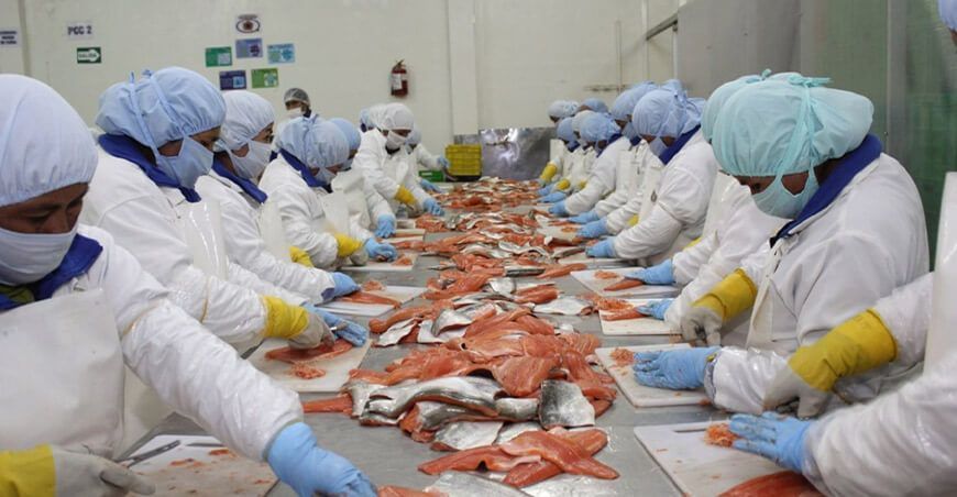 exportación de pescado Perú