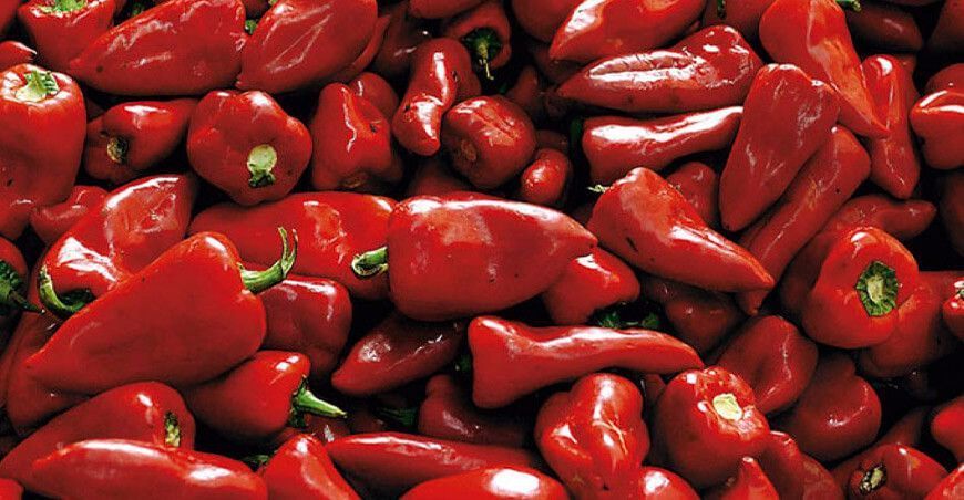 Exportaciones de pimiento piquillo