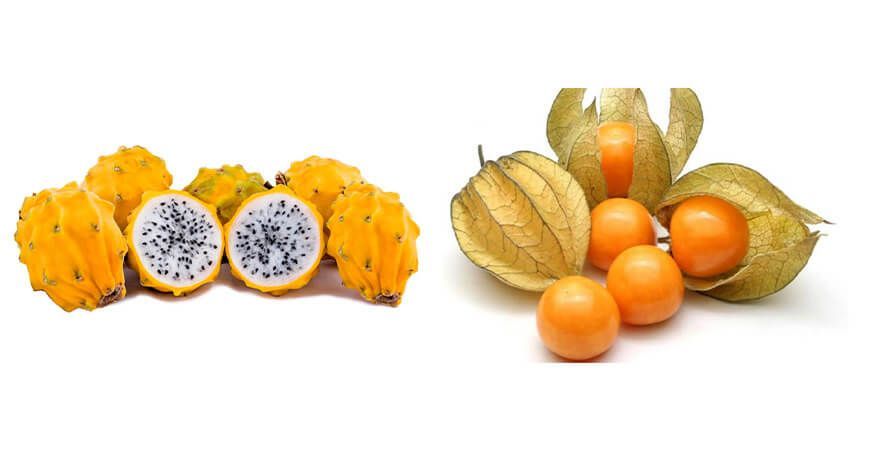 exportación de aguaymanto y pitahaya a Estados Unidos