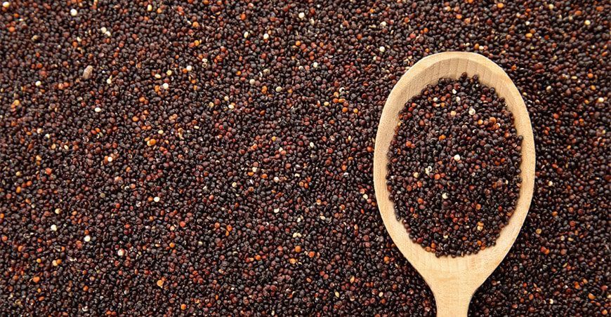 Productores de Andahuaylas exportan 22 toneladas de quinua a Países Bajos