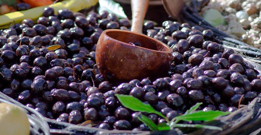 Exportaciones de aceitunas Perú