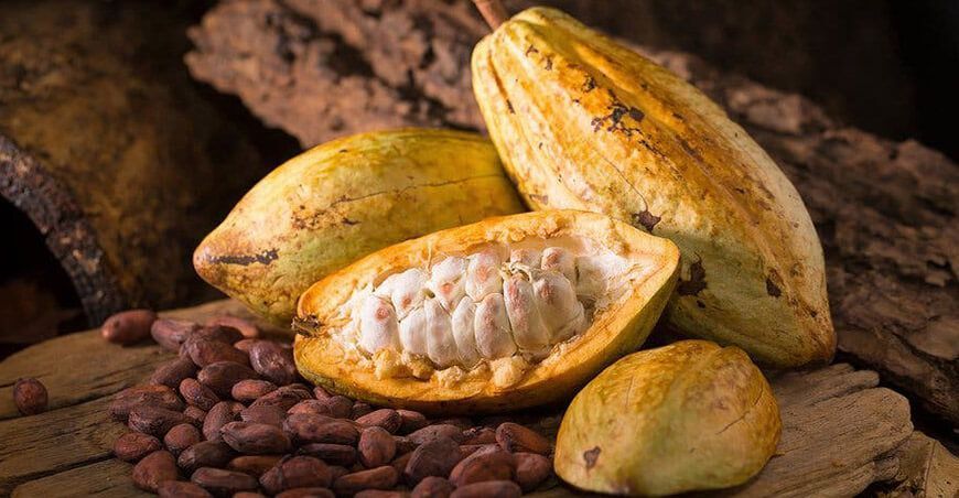 Exportaciones de cacao peruano