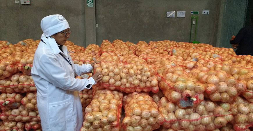 Exportaciones de cebolla Perú